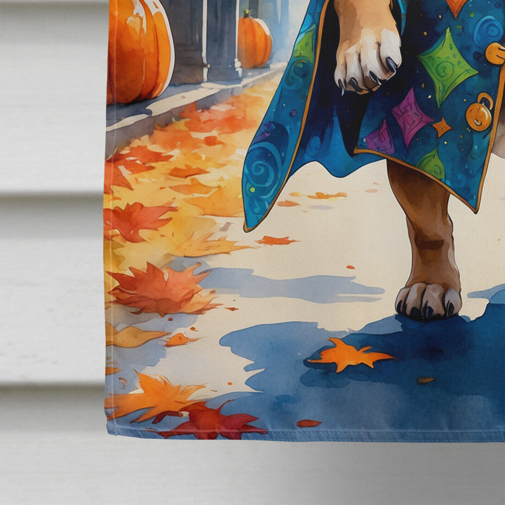 Mastiff Halloween Trick or Treat House Flag 28x40 Porch Sleeve Pole Decorative Outside Yard Banner Artwork Wall Hanging, Polyester