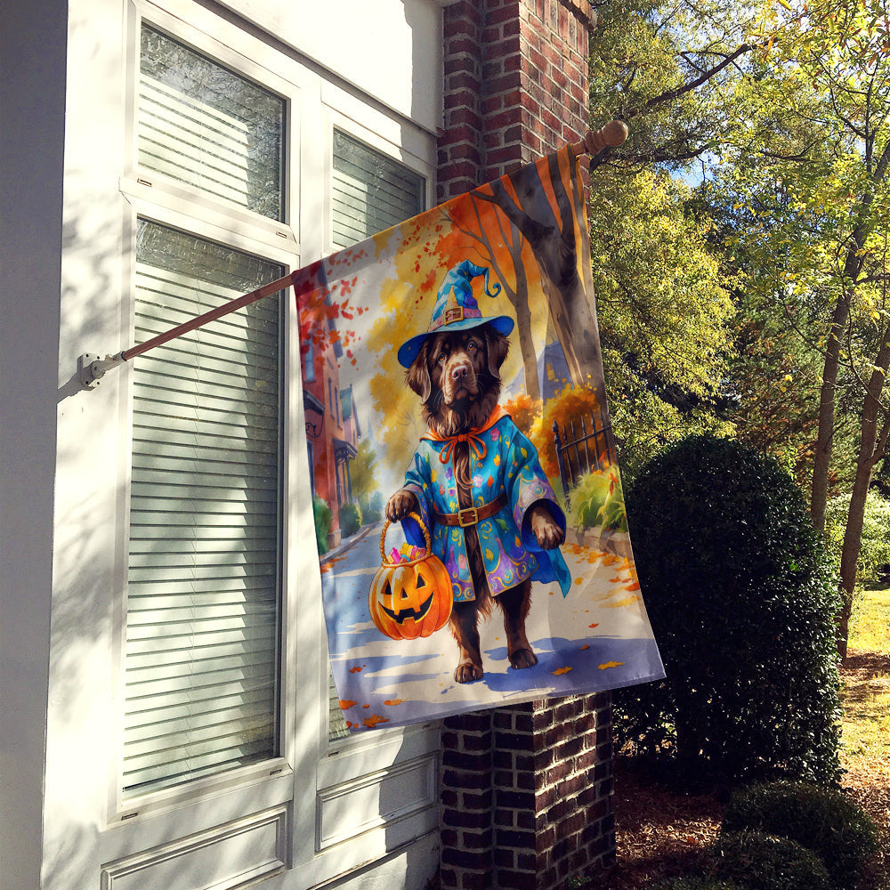 Chocolate Newfoundland Halloween Trick or Treat House Flag 28x40 Porch Sleeve Pole Decorative Outside Yard Banner Artwork Wall Hanging, Polyester