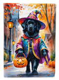 Newfoundland Halloween Trick or Treat House Flag 28x40 Porch Sleeve Pole Decorative Outside Yard Banner Artwork Wall Hanging, Polyester