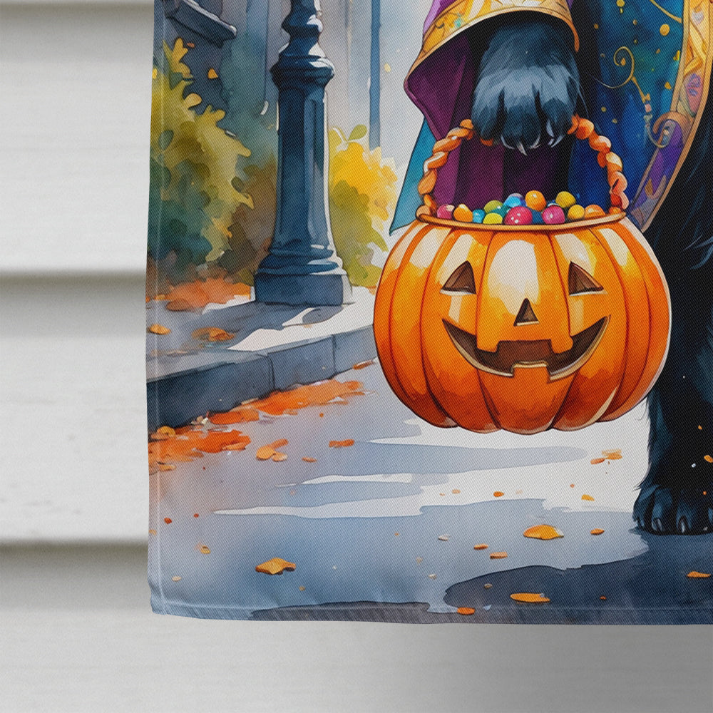 Newfoundland Halloween Trick or Treat House Flag 28x40 Porch Sleeve Pole Decorative Outside Yard Banner Artwork Wall Hanging, Polyester