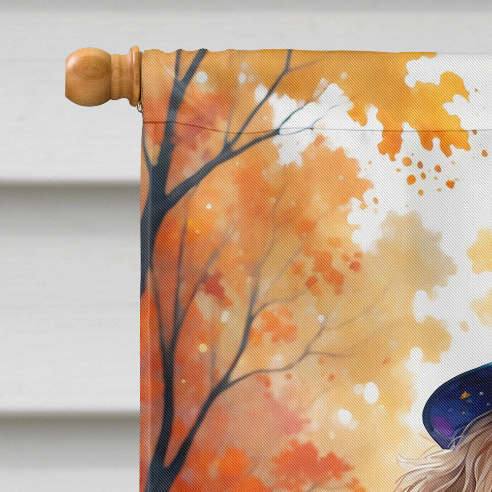 Poodle Halloween Trick or Treat House Flag 28x40 Porch Sleeve Pole Decorative Outside Yard Banner Artwork Wall Hanging, Polyester