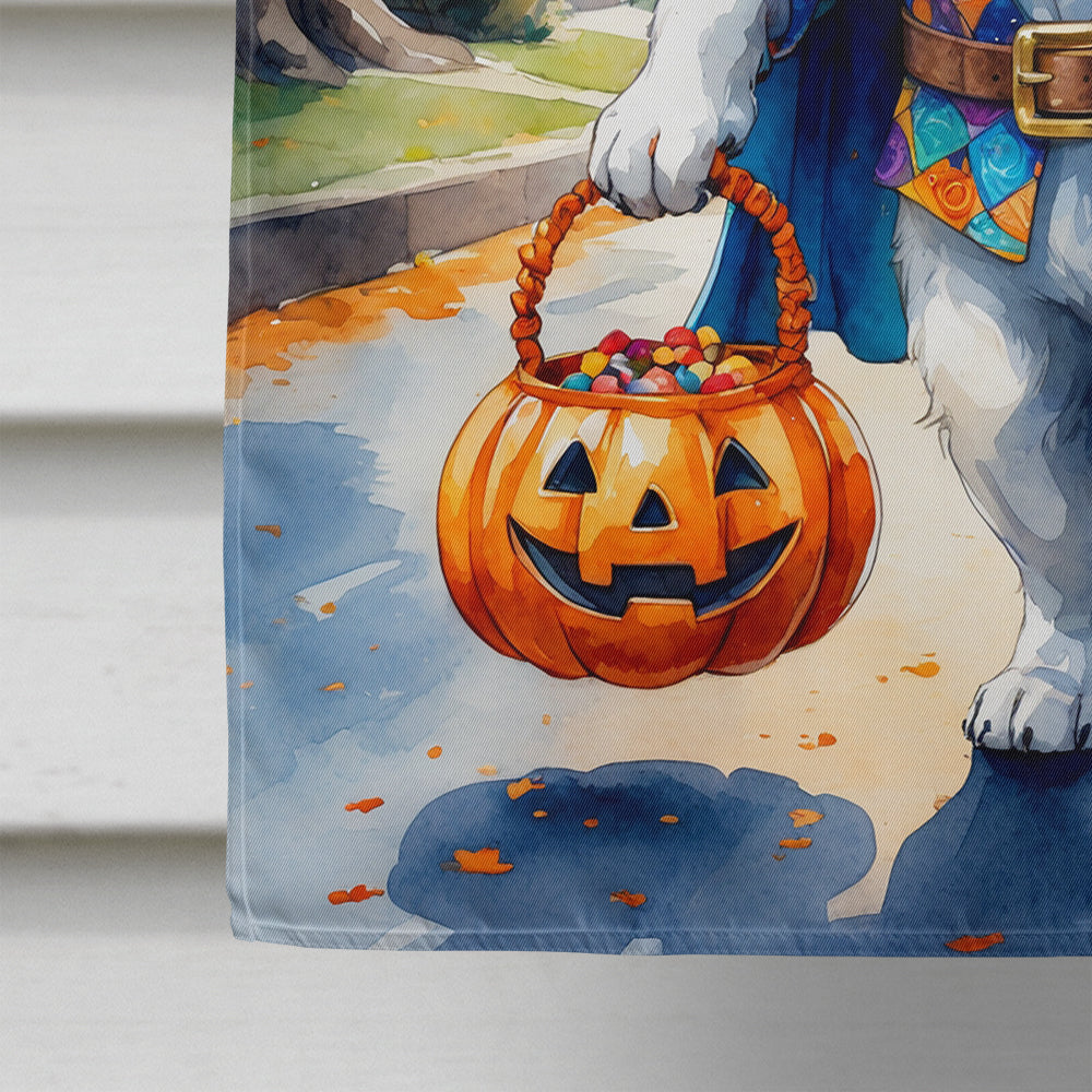 Saint Bernard Halloween Trick or Treat House Flag 28x40 Porch Sleeve Pole Decorative Outside Yard Banner Artwork Wall Hanging, Polyester