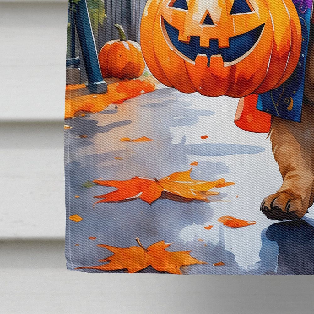 Shar Pei Halloween Trick or Treat House Flag 28x40 Porch Sleeve Pole Decorative Outside Yard Banner Artwork Wall Hanging, Polyester