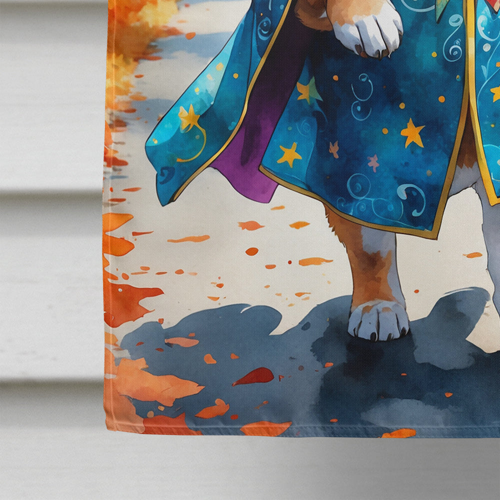 Shiba Inu Halloween Trick or Treat House Flag 28x40 Porch Sleeve Pole Decorative Outside Yard Banner Artwork Wall Hanging, Polyester