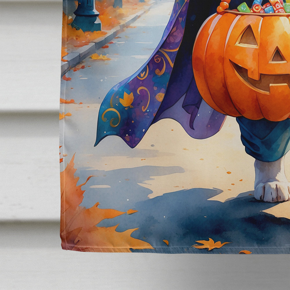 Siberian Husky Halloween Trick or Treat House Flag 28x40 Porch Sleeve Pole Decorative Outside Yard Banner Artwork Wall Hanging, Polyester