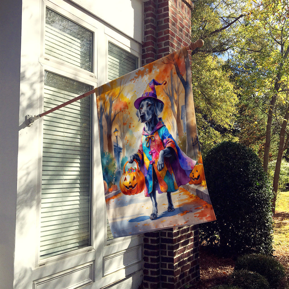 Weimaraner Halloween Trick or Treat House Flag 28x40 Porch Sleeve Pole Decorative Outside Yard Banner Artwork Wall Hanging, Polyester