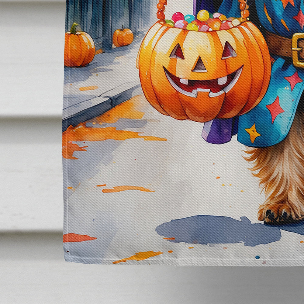 Yorkshire Terrier Yorkie Halloween Trick or Treat House Flag 28x40 Porch Sleeve Pole Decorative Outside Yard Banner Artwork Wall Hanging, Polyester