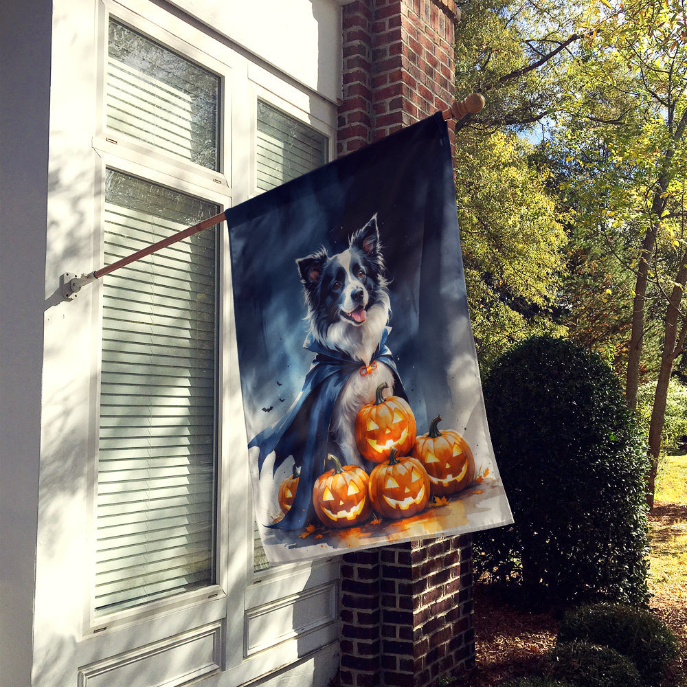 Border Collie Puppy Halloween House Flag 28x40 Porch Sleeve Pole Decorative Outside Yard Banner Artwork Wall Hanging, Polyester