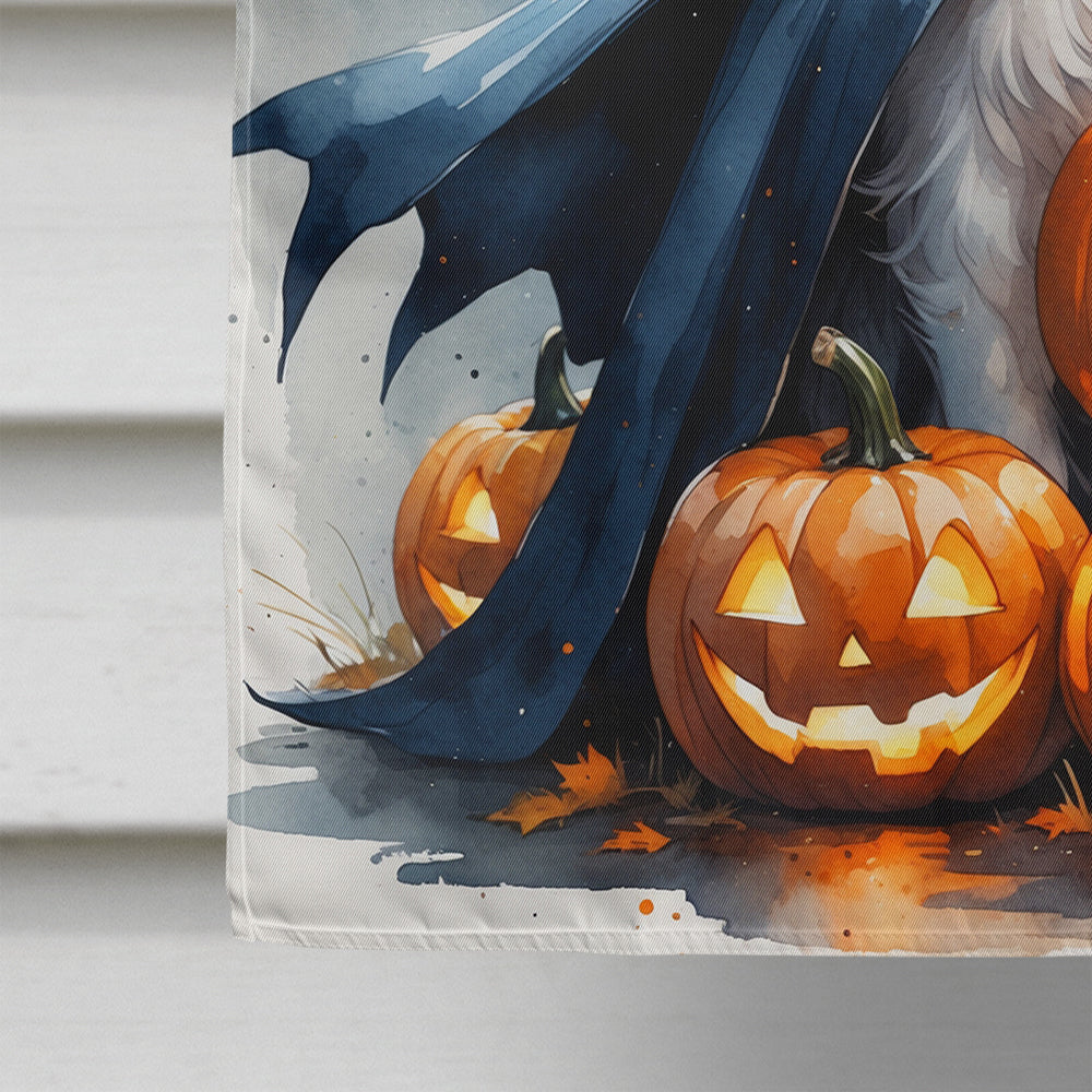 Border Collie Puppy Halloween House Flag 28x40 Porch Sleeve Pole Decorative Outside Yard Banner Artwork Wall Hanging, Polyester
