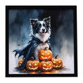 Border Collie Puppy Halloween Framed Metal Print Bathroom, Kitchen, Office, Home Decor Wall Art Ready to Hang, Square, 8X8