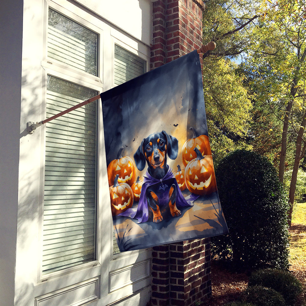 Dachshund Puppy Halloween House Flag 28x40 Porch Sleeve Pole Decorative Outside Yard Banner Artwork Wall Hanging, Polyester