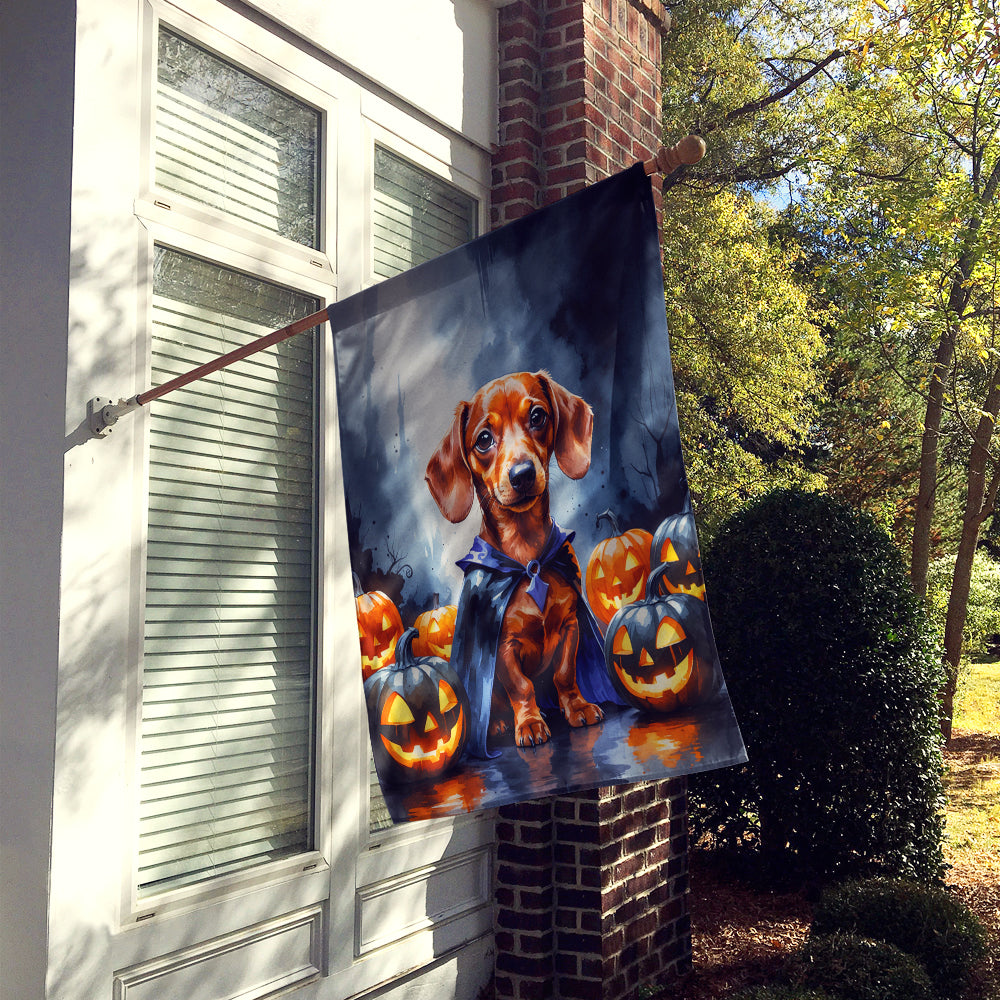 Red Dachshund Puppy Halloween House Flag 28x40 Porch Sleeve Pole Decorative Outside Yard Banner Artwork Wall Hanging, Polyester