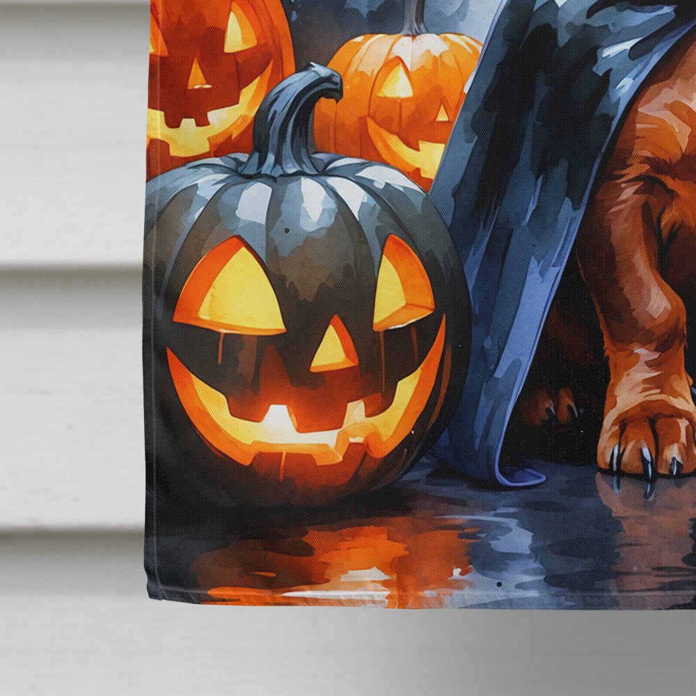 Red Dachshund Puppy Halloween House Flag 28x40 Porch Sleeve Pole Decorative Outside Yard Banner Artwork Wall Hanging, Polyester