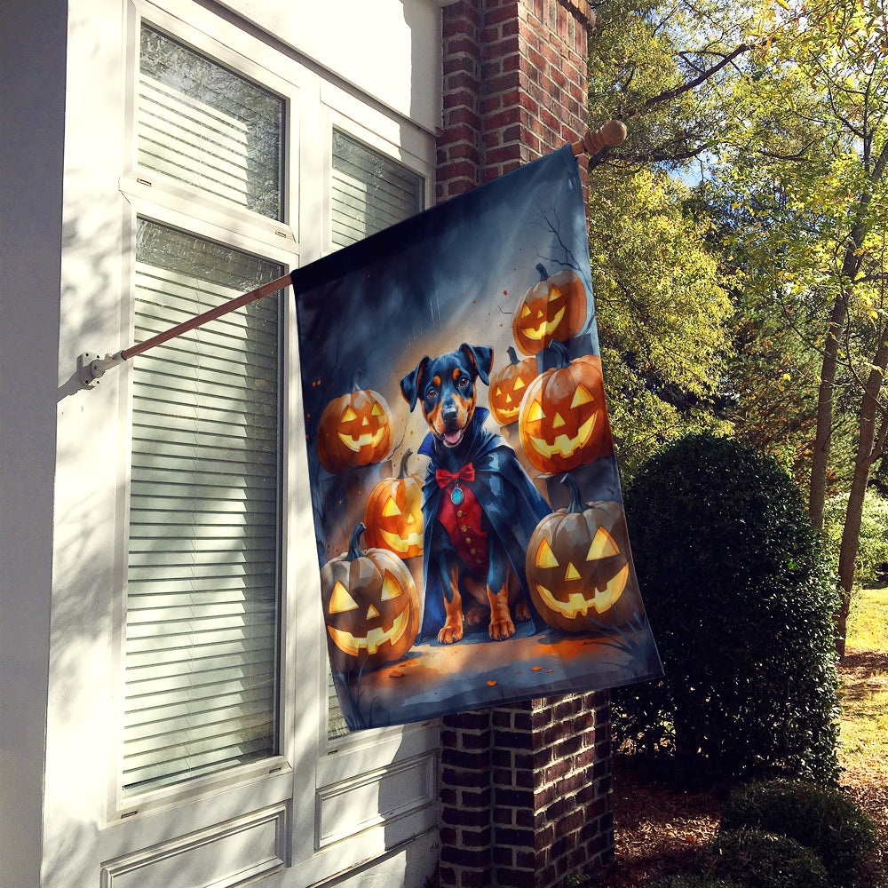 Doberman Pinscher Puppy Halloween House Flag 28x40 Porch Sleeve Pole Decorative Outside Yard Banner Artwork Wall Hanging, Polyester