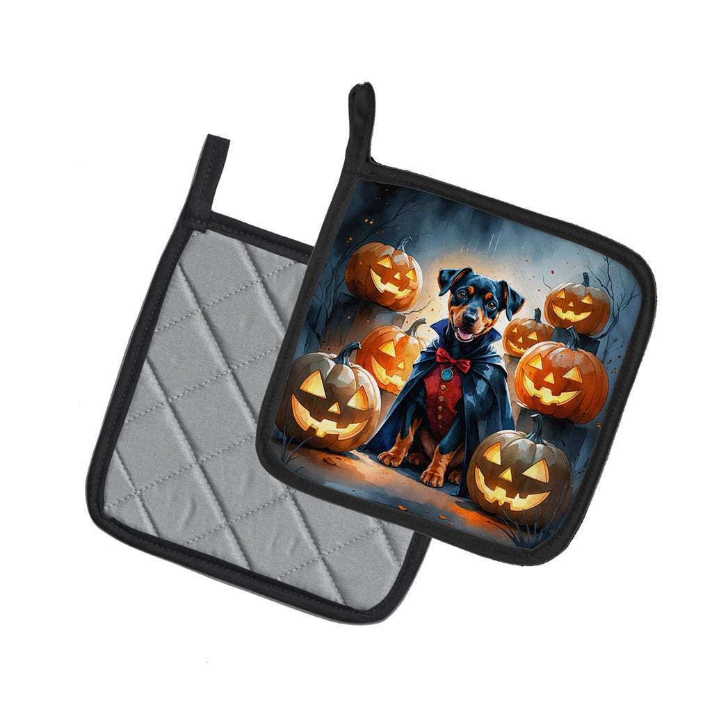Doberman Pinscher Puppy Halloween Pot Holder Set of 2 Heat Resistant Quilted Hot Pads 7.5 x 7.5 Inch, Insulated Kitchen Trivets for Cooking & Baking