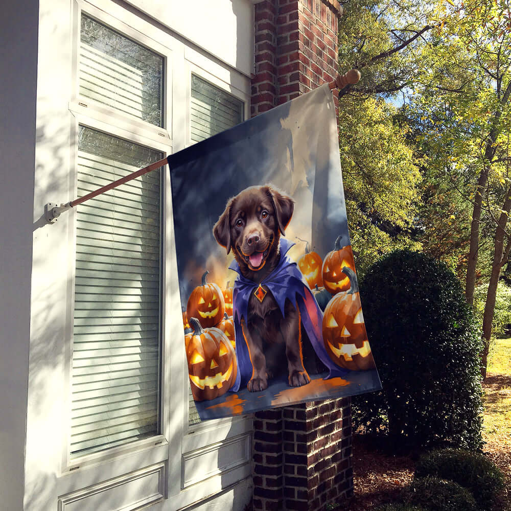 Chocolate Labrador Retriever Puppy Halloween House Flag 28x40 Porch Sleeve Pole Decorative Outside Yard Banner Artwork Wall Hanging, Polyester