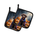 Chocolate Labrador Retriever Puppy Halloween Pot Holder Set of 2 Heat Resistant Quilted Hot Pads 7.5 x 7.5 Inch, Insulated Kitchen Trivets for Cooking & Baking