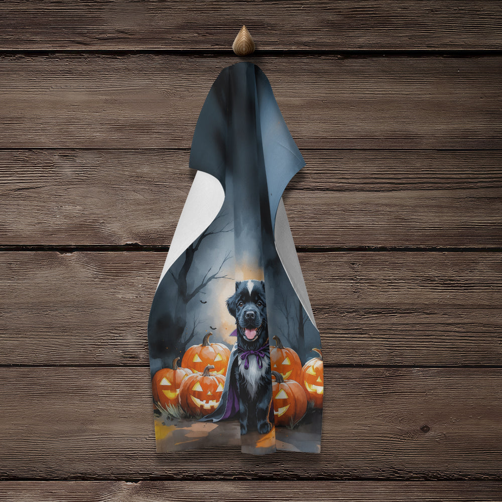Newfoundland Puppy Halloween Kitchen Towel Velour Plush Front and Cotton Loop Back Machine Washable