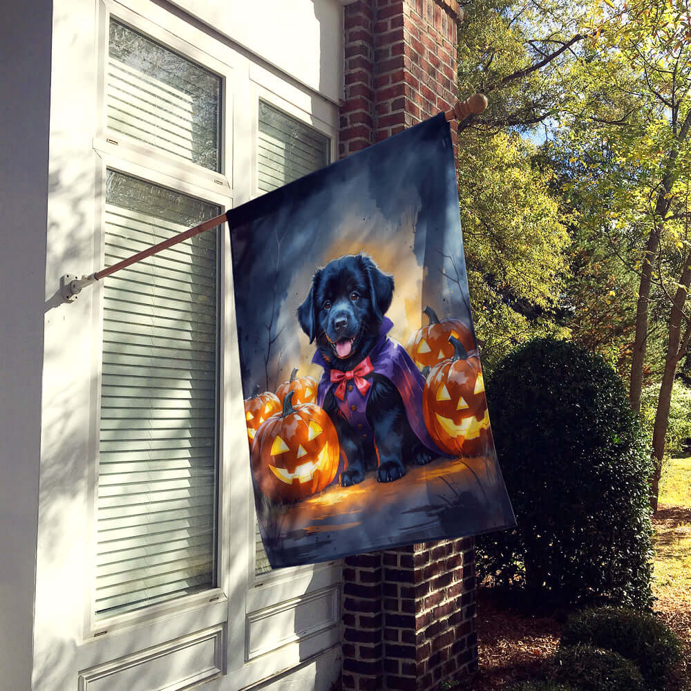 Black Newfoundland Puppy Halloween House Flag 28x40 Porch Sleeve Pole Decorative Outside Yard Banner Artwork Wall Hanging, Polyester