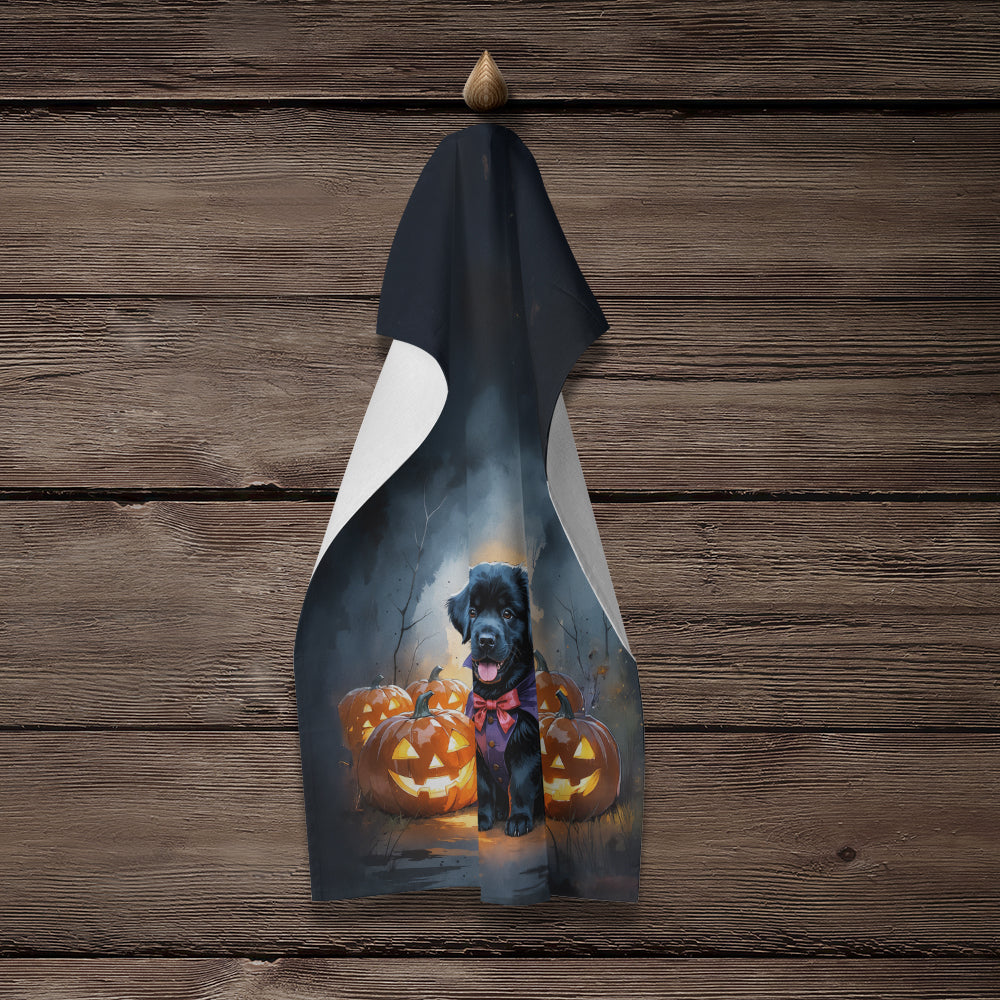 Black Newfoundland Puppy Halloween Kitchen Towel Velour Plush Front and Cotton Loop Back Machine Washable