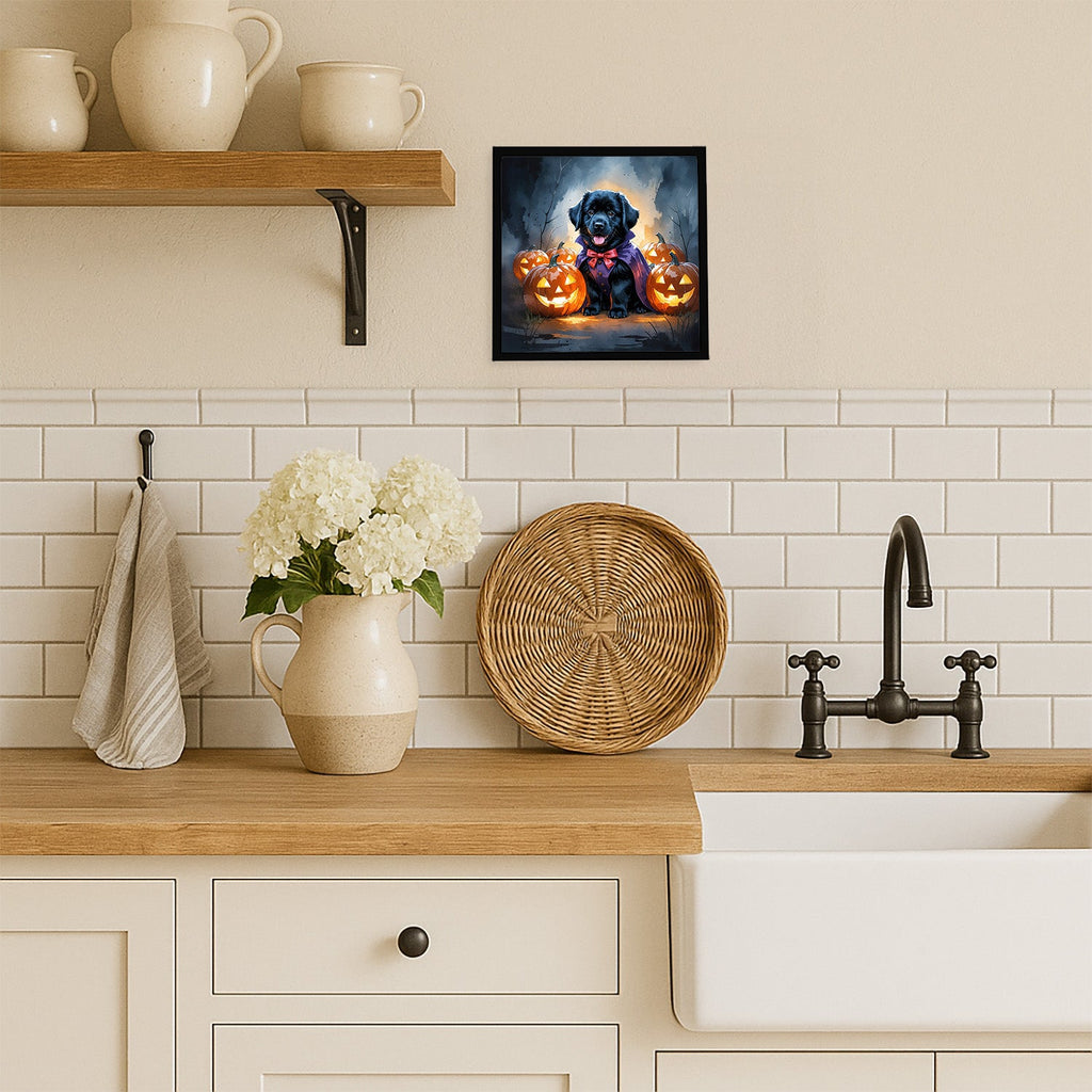 Black Newfoundland Puppy Halloween Framed Metal Print Bathroom, Kitchen, Office, Home Decor Wall Art Ready to Hang, Square, 8X8