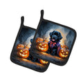Black Newfoundland Puppy Halloween Pot Holder Set of 2 Heat Resistant Quilted Hot Pads 7.5 x 7.5 Inch, Insulated Kitchen Trivets for Cooking & Baking