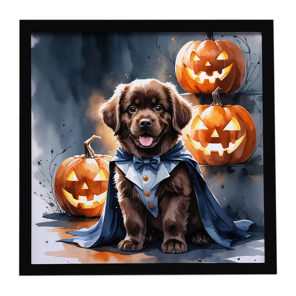 Chocolate Newfoundland Puppy Halloween Framed Metal Print Bathroom, Kitchen, Office, Home Decor Wall Art Ready to Hang, Square, 8X8