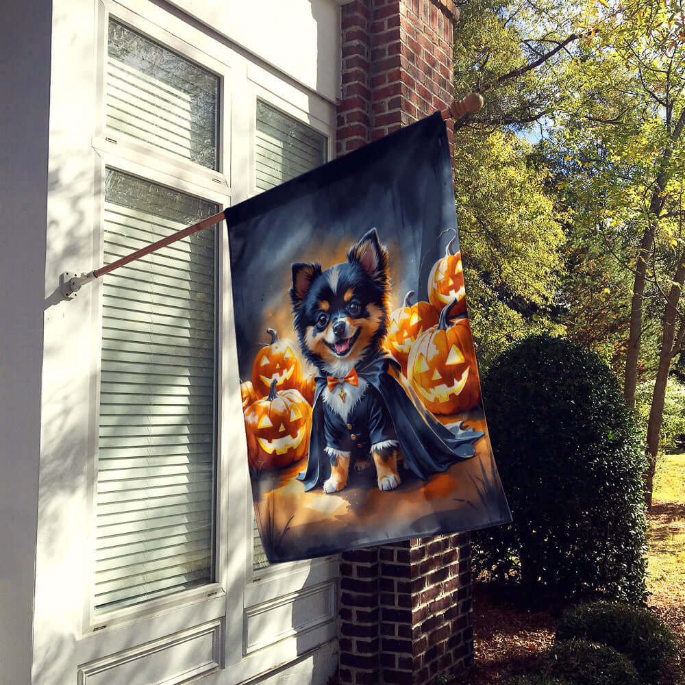 Balck and Tan Pomeranian Puppy Halloween House Flag 28x40 Porch Sleeve Pole Decorative Outside Yard Banner Artwork Wall Hanging, Polyester