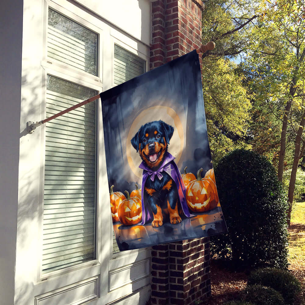 Rottweiler Puppy Halloween House Flag 28x40 Porch Sleeve Pole Decorative Outside Yard Banner Artwork Wall Hanging, Polyester