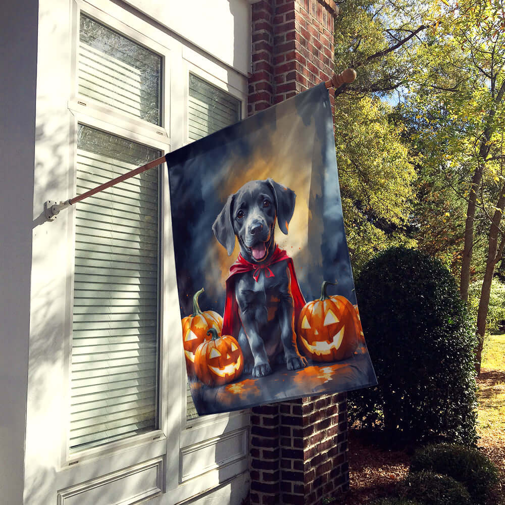 Weimaraner Puppy Halloween House Flag 28x40 Porch Sleeve Pole Decorative Outside Yard Banner Artwork Wall Hanging, Polyester