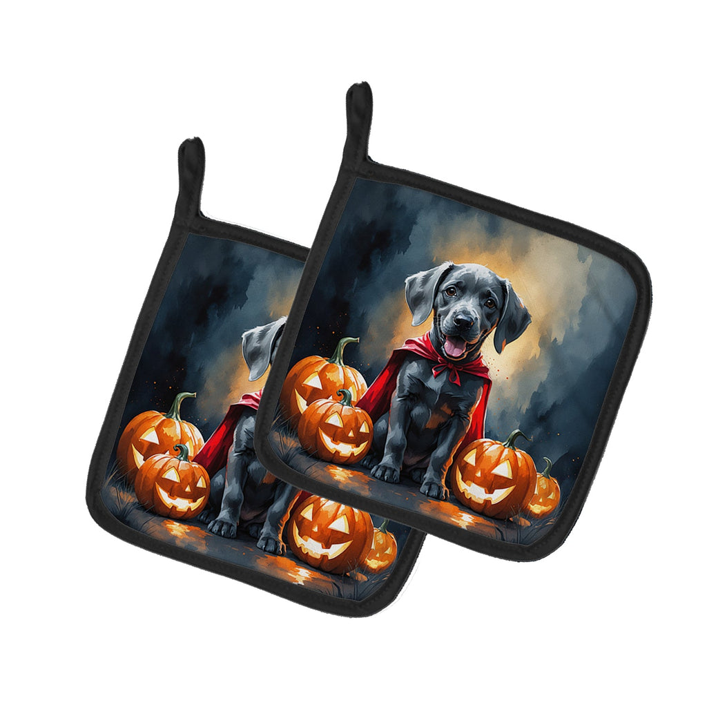 Weimaraner Puppy Halloween Pot Holder Set of 2 Heat Resistant Quilted Hot Pads 7.5 x 7.5 Inch, Insulated Kitchen Trivets for Cooking & Baking
