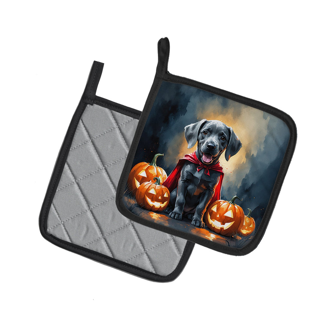 Weimaraner Puppy Halloween Pot Holder Set of 2 Heat Resistant Quilted Hot Pads 7.5 x 7.5 Inch, Insulated Kitchen Trivets for Cooking & Baking