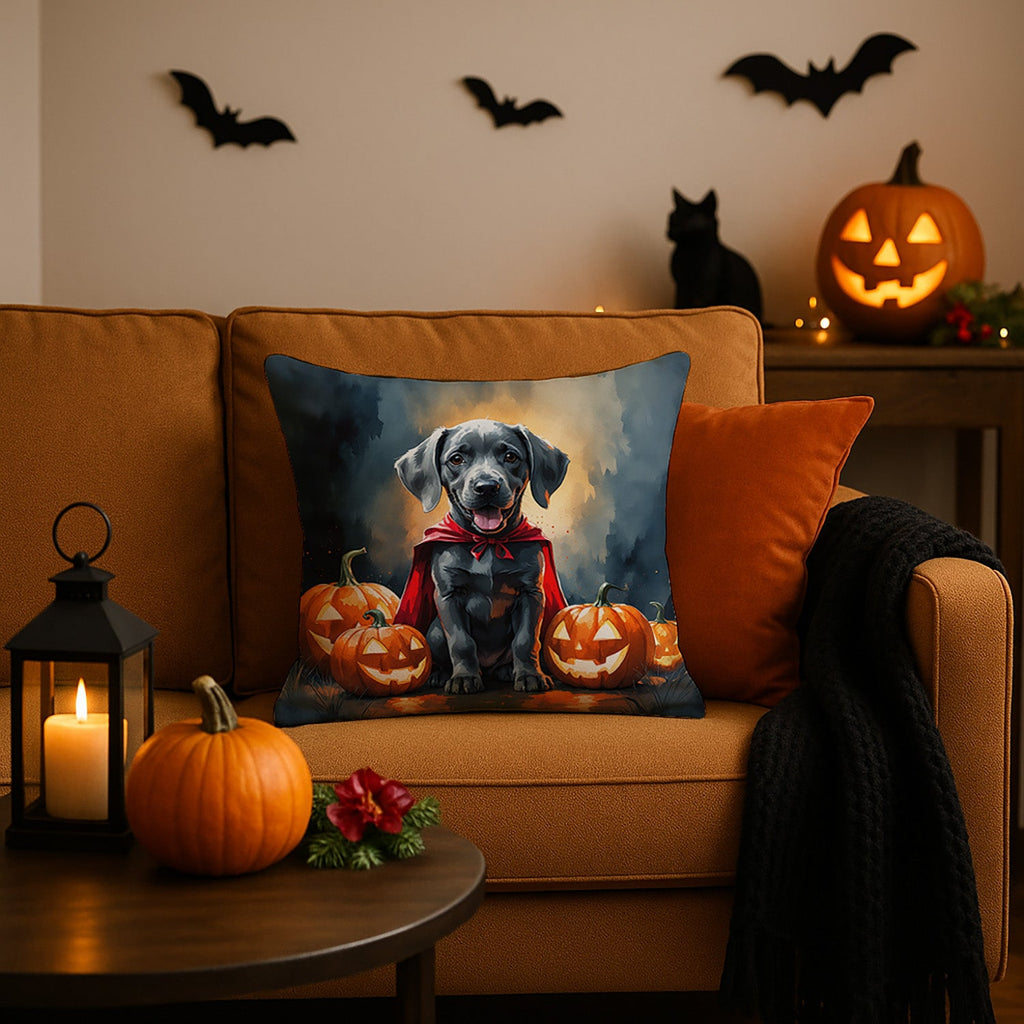 Weimaraner Puppy Halloween Decorative Throw Pillow 18x18 Indoor Outdoor Accent Cushion, Fabric Cover with Insert for Sofa, Bed, Porch & Living Room