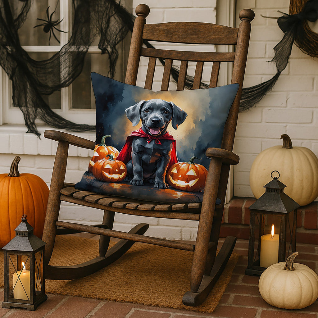 Weimaraner Puppy Halloween Decorative Throw Pillow 18x18 Indoor Outdoor Accent Cushion, Fabric Cover with Insert for Sofa, Bed, Porch & Living Room