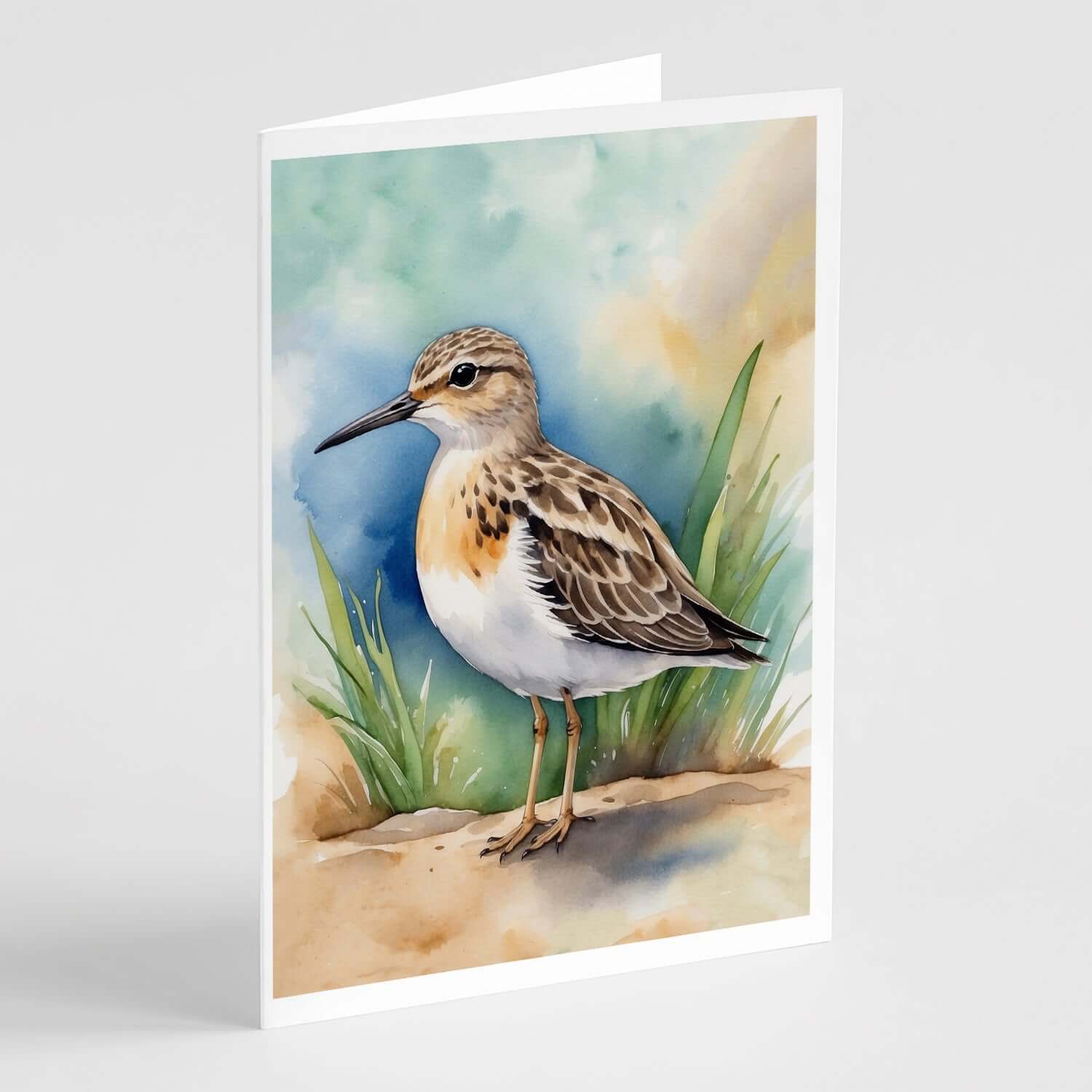 Buff-breasted Sandpiper Bird Greeting Cards Pack of 8 Blank Cards with Envelopes Whimsical A7 Size 5x7