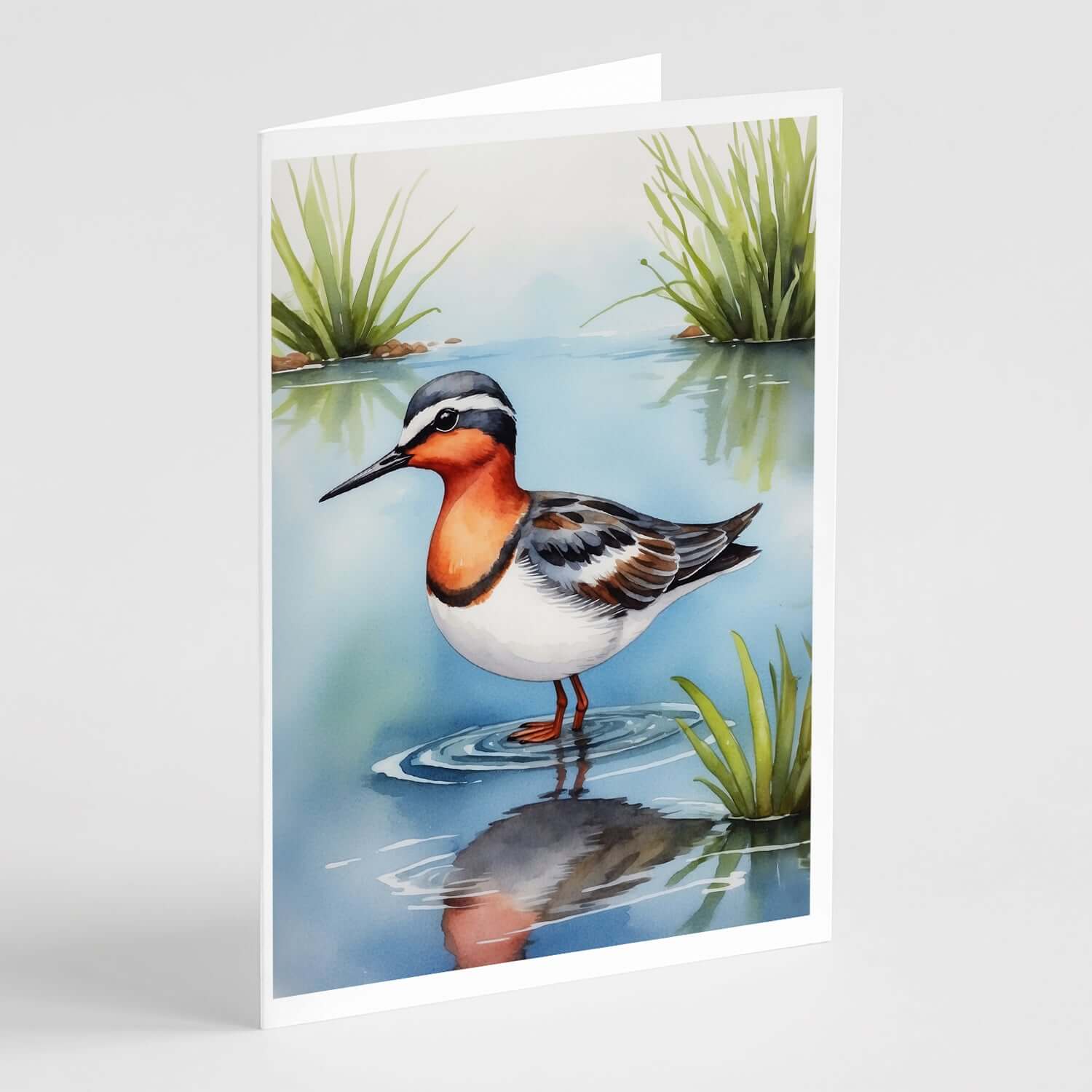 Red-necked Phalarope Bird Greeting Cards Pack of 8 Blank Cards with Envelopes Whimsical A7 Size 5x7