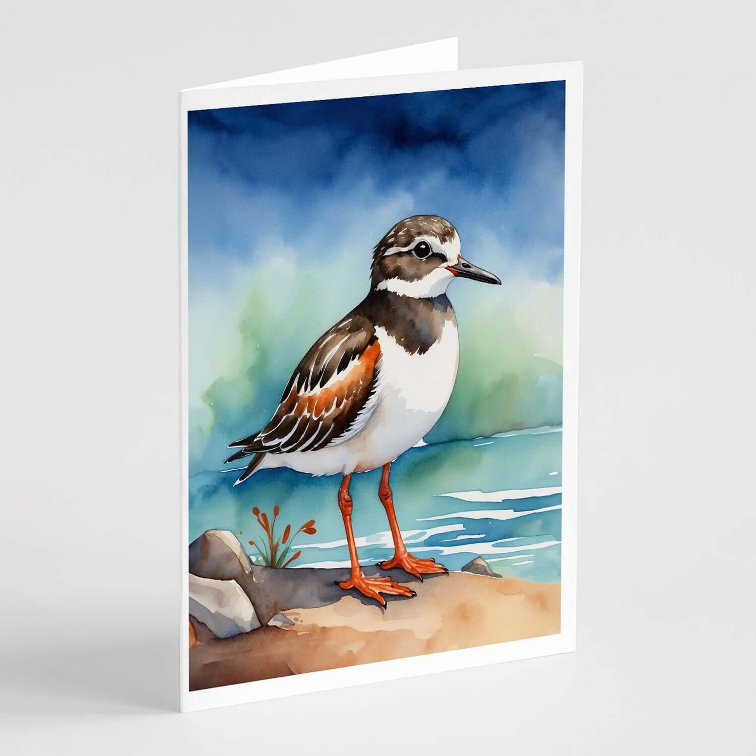 Ruddy Turnstone Bird Greeting Cards Pack of 8 Blank Cards with Envelopes Whimsical A7 Size 5x7