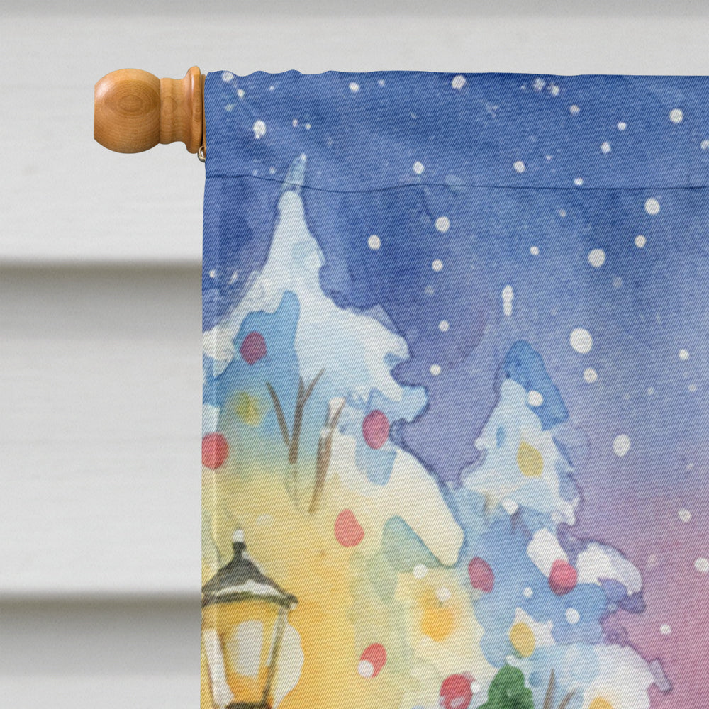 Chow Chow with Santa Claus House Flag 28x40 Porch Sleeve Pole Decorative Outside Yard Banner Artwork Wall Hanging, Polyester