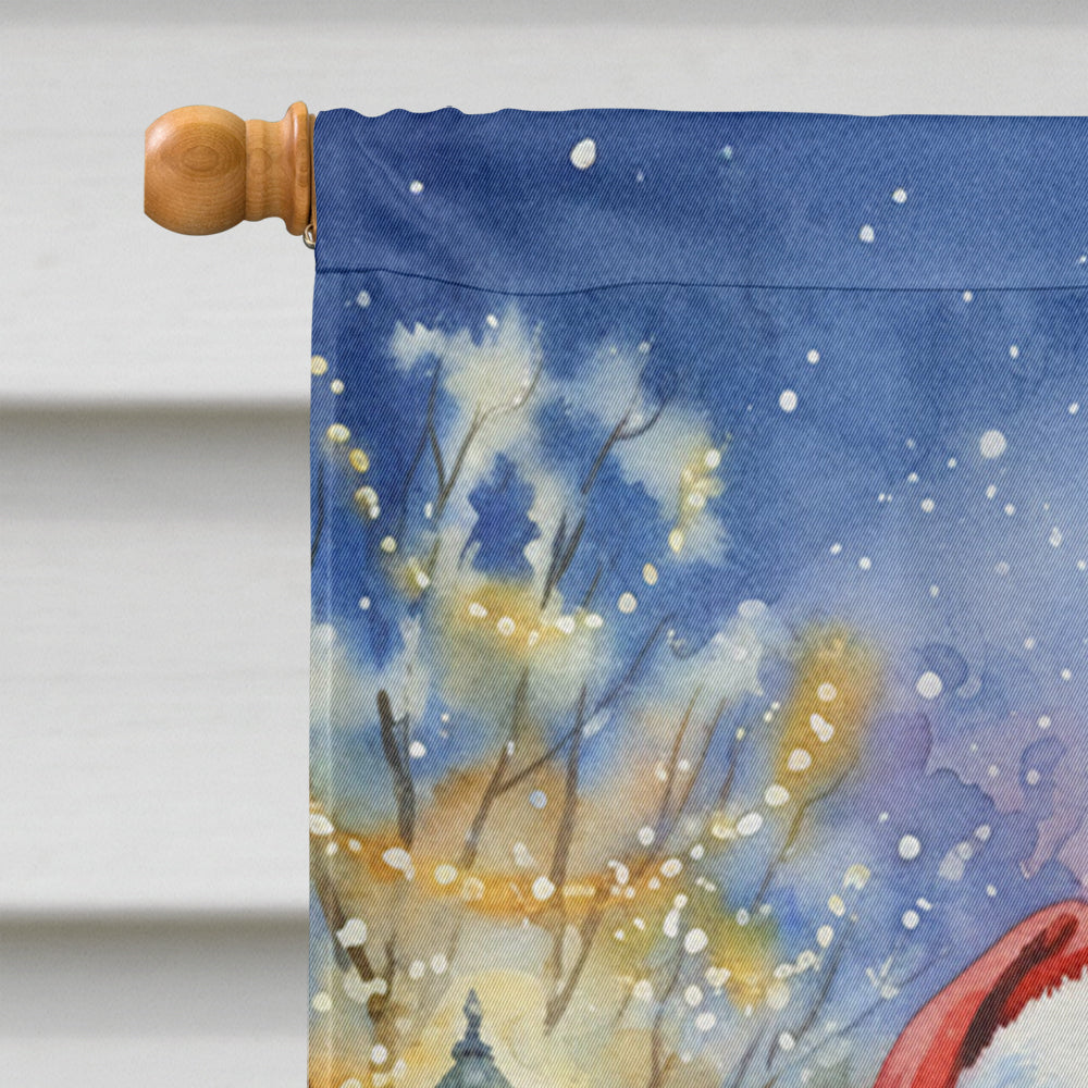 Newfoundland with Santa Claus House Flag 28x40 Porch Sleeve Pole Decorative Outside Yard Banner Artwork Wall Hanging, Polyester