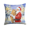 Shar Pei with Santa Claus Decorative Throw Pillow 14x14 Indoor Outdoor Accent Cushion, Fabric Cover with Insert for Sofa, Bed, Porch & Living Room