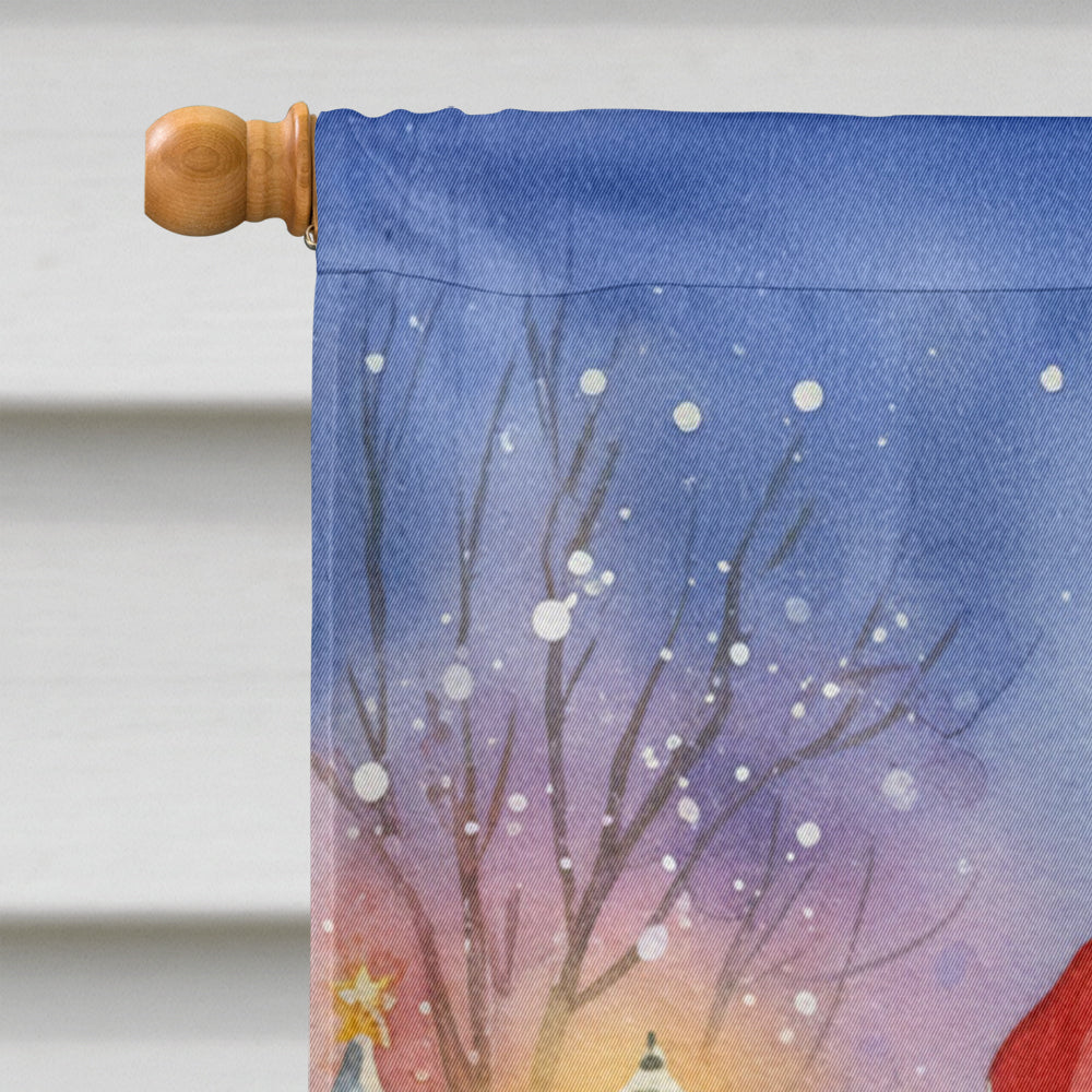 American Wirehair Cat with Santa Claus House Flag 28x40 Porch Sleeve Pole Decorative Outside Yard Banner Artwork Wall Hanging, Polyester