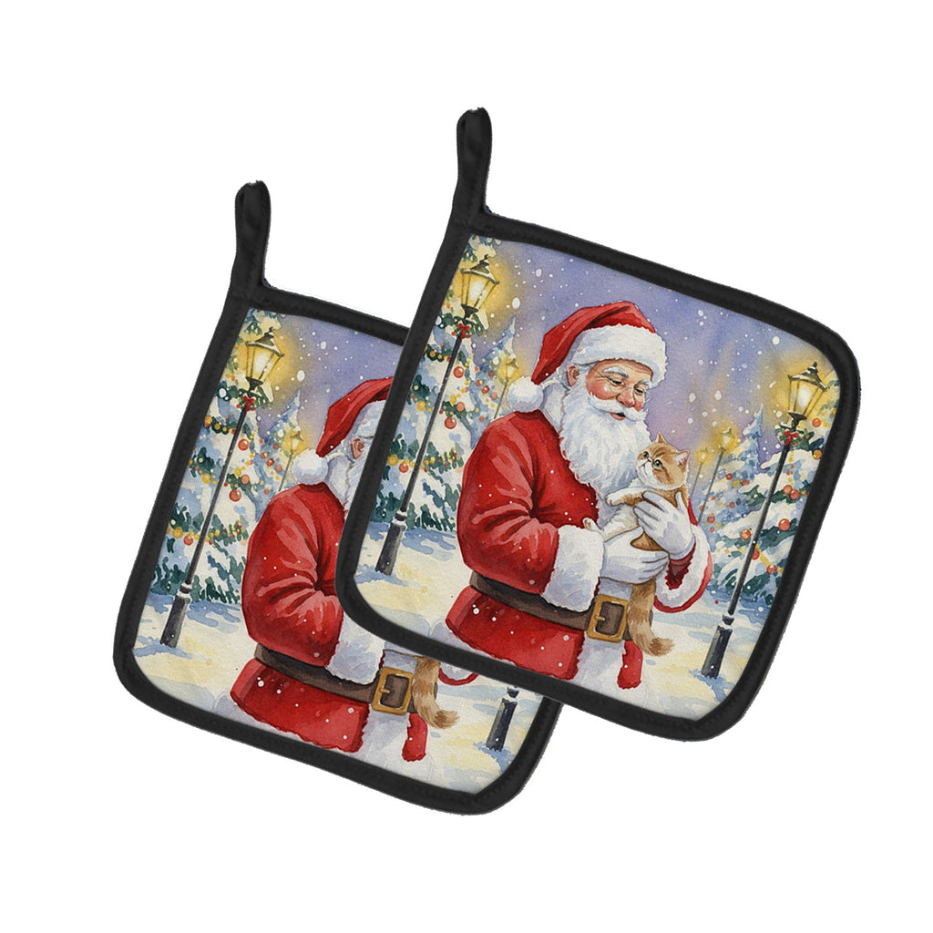 Exotic Shorthair Cat with Santa Claus Pot Holder Set of 2 Heat Resistant Quilted Hot Pads 7.5 x 7.5 Inch, Insulated Kitchen Trivets for Cooking & Baking