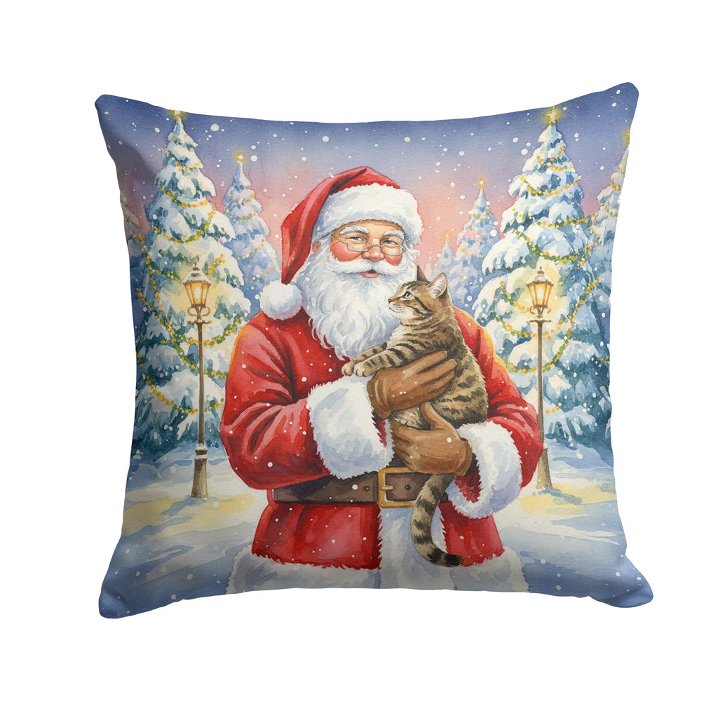 Mackerel Tabby Brown Cat with Santa Claus Decorative Throw Pillow 14x14 Indoor Outdoor Accent Cushion, Fabric Cover with Insert for Sofa, Bed, Porch & Living Room