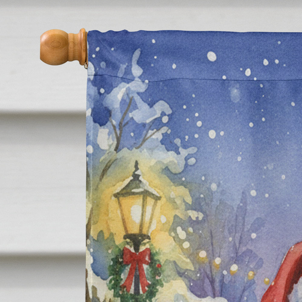 MaineCoon Black & White Cat with Santa Claus House Flag 28x40 Porch Sleeve Pole Decorative Outside Yard Banner Artwork Wall Hanging, Polyester