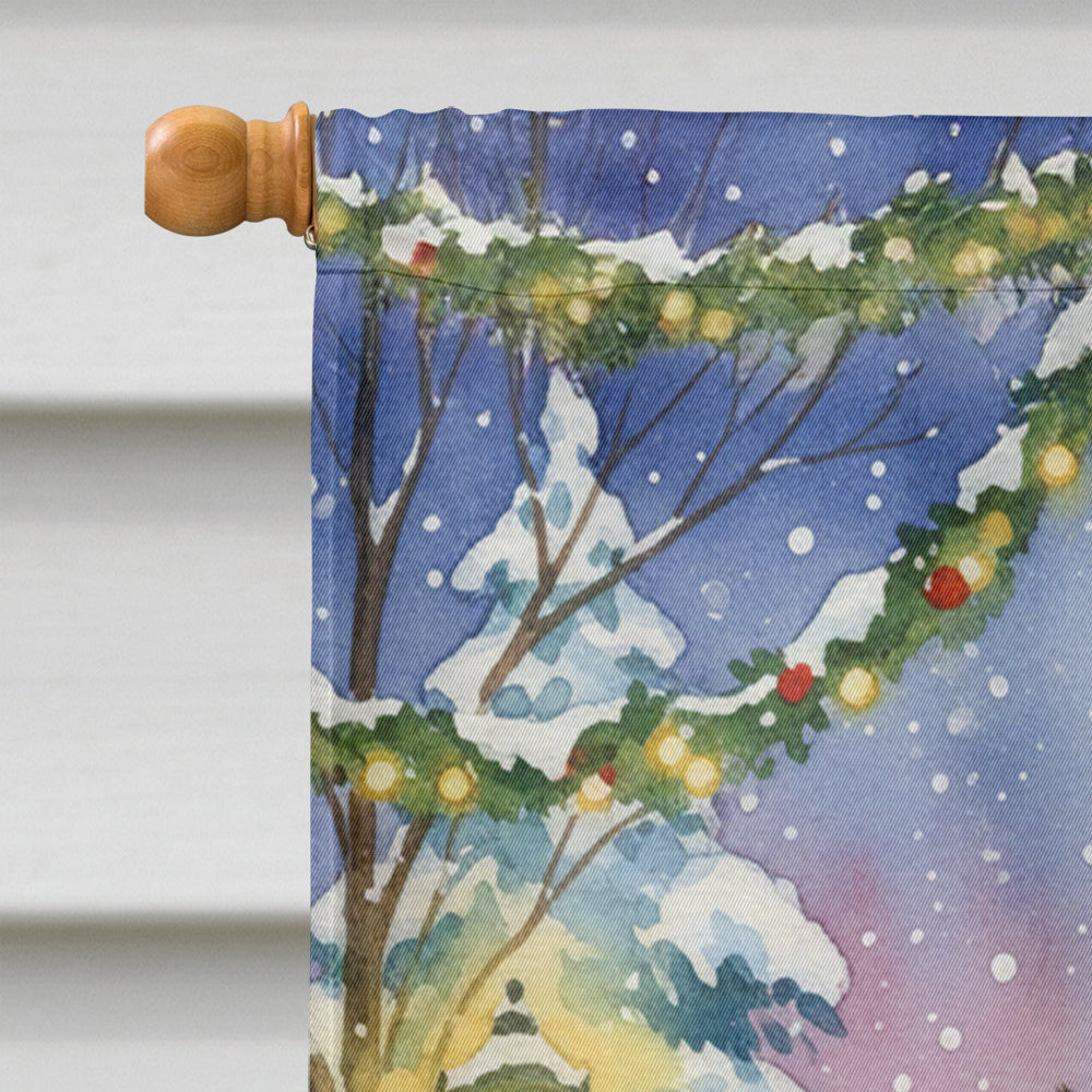 Norwegian Forest Cat Brown Tabby with Santa Claus House Flag 28x40 Porch Sleeve Pole Decorative Outside Yard Banner Artwork Wall Hanging, Polyester