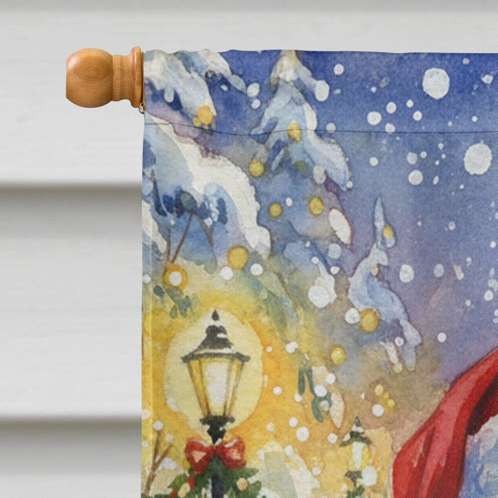 Ragdoll Blue Point Cat with Santa Claus House Flag 28x40 Porch Sleeve Pole Decorative Outside Yard Banner Artwork Wall Hanging, Polyester