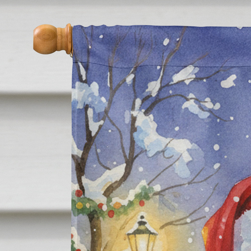Ragdoll Cat with Santa Claus House Flag 28x40 Porch Sleeve Pole Decorative Outside Yard Banner Artwork Wall Hanging, Polyester