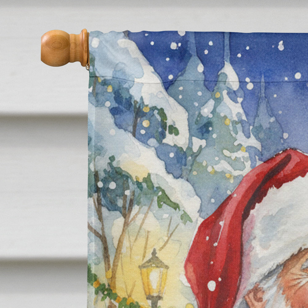 Silver Classic Tabby Cat with Santa Claus House Flag 28x40 Porch Sleeve Pole Decorative Outside Yard Banner Artwork Wall Hanging, Polyester