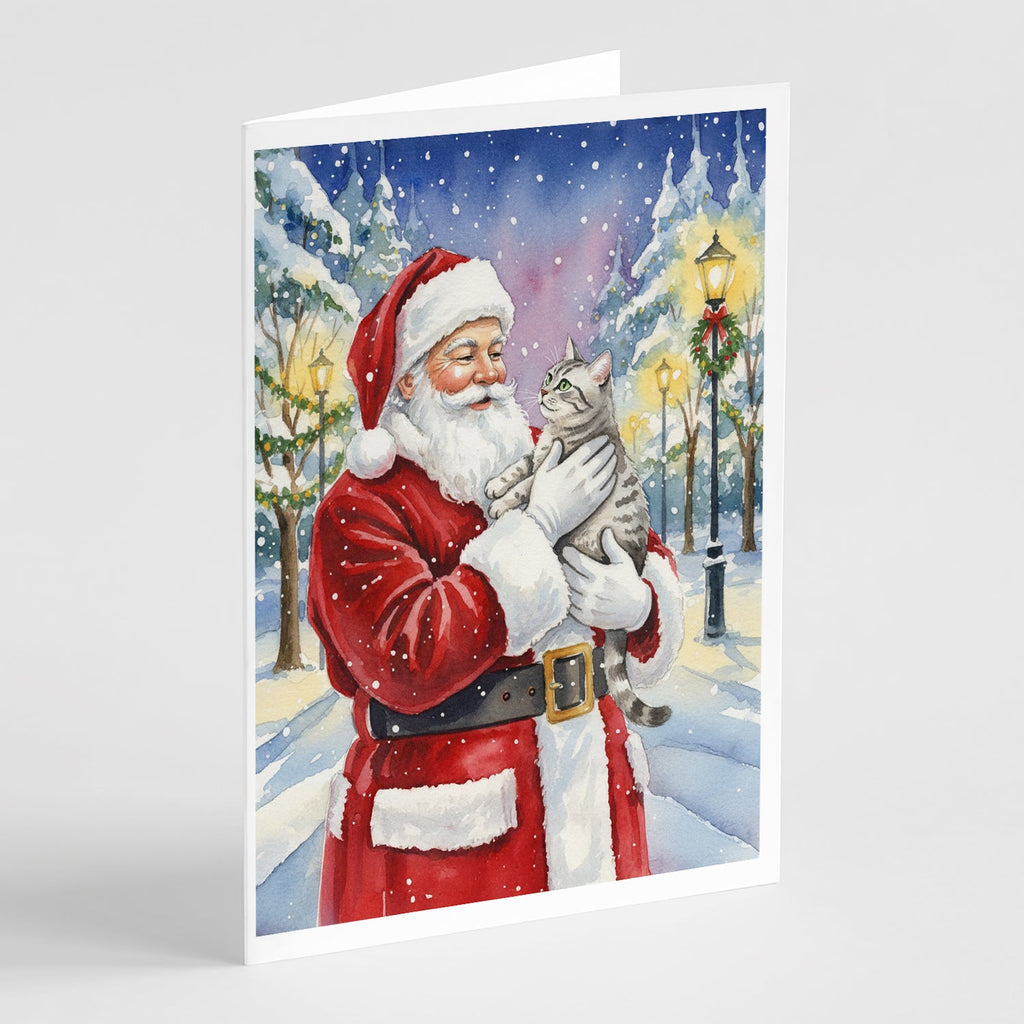 Silver Classic Tabby Cat with Santa Claus Greeting Cards Pack of 8 Blank Cards with Envelopes Whimsical A7 Size 5x7