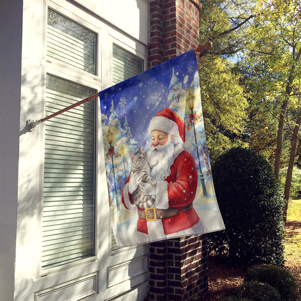 Silver Mackerel Tabby Cat with Santa Claus House Flag 28x40 Porch Sleeve Pole Decorative Outside Yard Banner Artwork Wall Hanging, Polyester